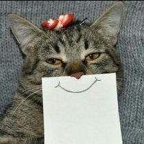 张馨予竟然一屁股坐在达康书记的腿上!