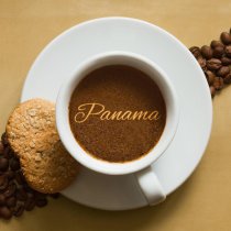 加拿大辩论节目上 中国、新加坡专家用事实反